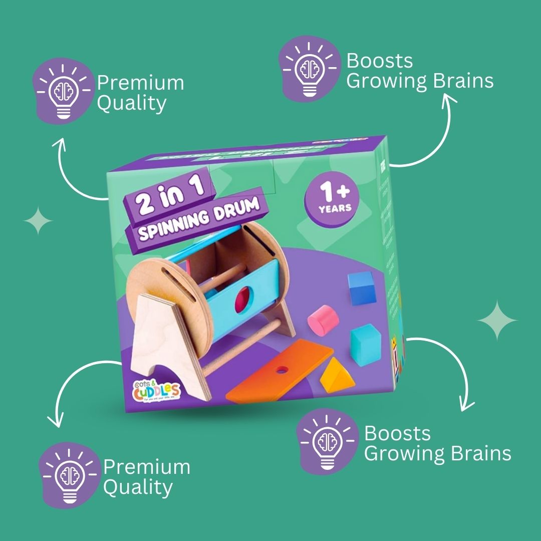 Spinning Wheel with Shape Sorter Toy